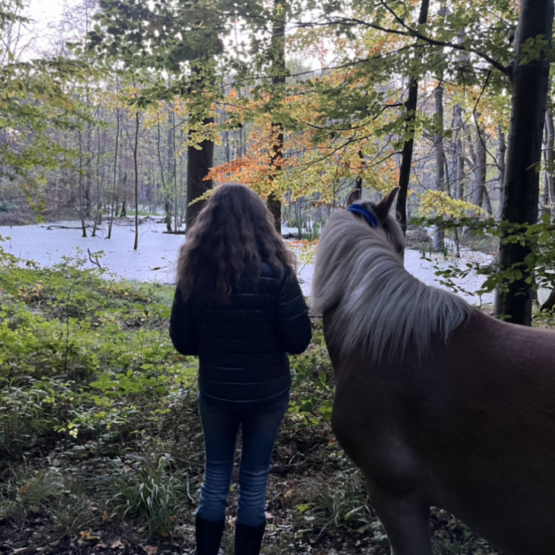 Waldbaden mit Pferden