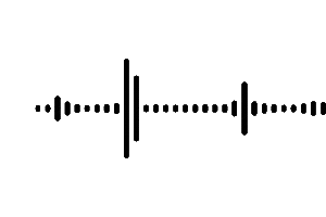 Icon 1